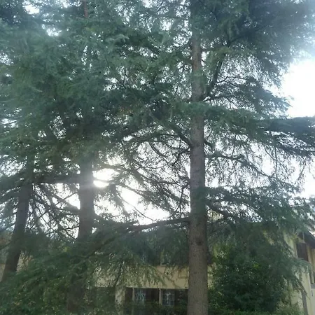 La Stanza Sui Cedri - Smart Working - Airport - Private Parking - Ducati - Philip Morris * Bologna