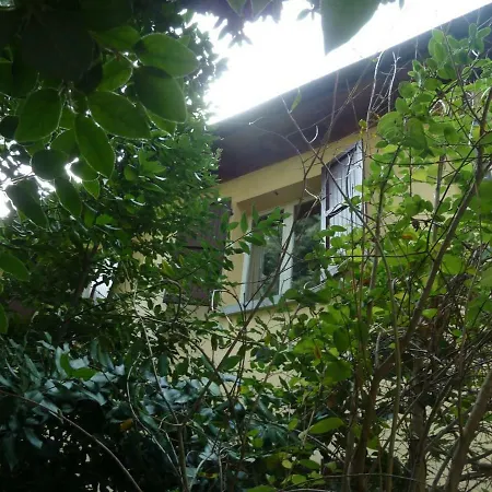 La Stanza Sui Cedri - Smart Working - Airport - Private Parking - Ducati - Philip Morris Διαμέρισμα Μπολόνια