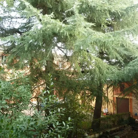 La Stanza Sui Cedri - Smart Working - Airport - Private Parking - Ducati - Philip Morris * Μπολόνια