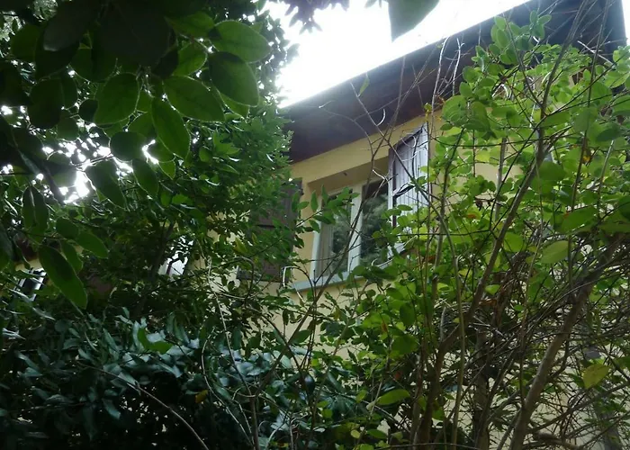 La Stanza Sui Cedri - Smart Working - Airport - Private Parking - Ducati - Philip Morris Apartmán Boloňa