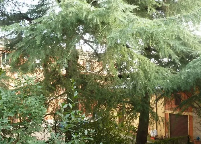 La Stanza Sui Cedri - Smart Working - Airport - Private Parking - Ducati - Philip Morris * Bologna