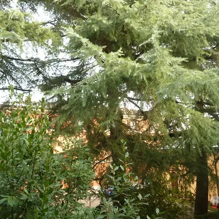 Apartman La Stanza Sui Cedri - Smart Working - Airport - Private Parking - Ducati - Philip Morris *