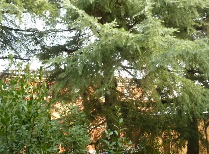 شقة La Stanza Sui Cedri - Smart Working - Airport - Private Parking - Ducati - Philip Morris *